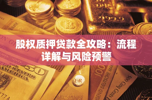 武汉股权质押贷款全攻略：流程详解与风险预警