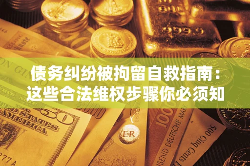 武汉债务纠纷被拘留自救指南：这些合法维权步骤你必须知道！