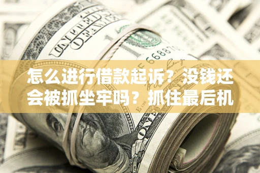 武汉怎么进行借款起诉？没钱还会被抓坐牢吗？抓住最后机会！