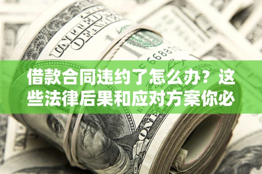 武汉借款合同违约了怎么办？这些法律后果和应对方案你必须知道