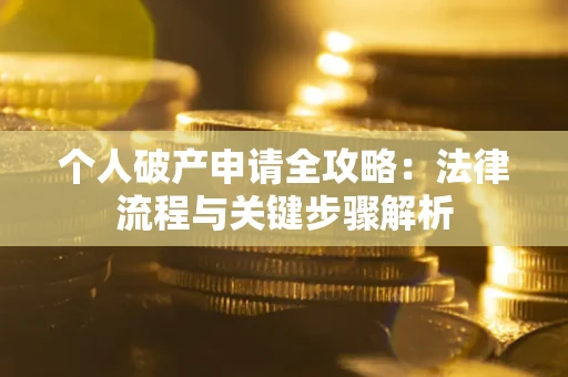 武汉个人破产申请全攻略：法律流程与关键步骤解析
